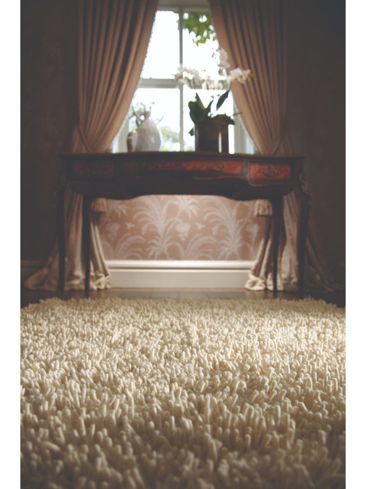 Close-up of a plush ivory rug in a sophisticated living room setting.