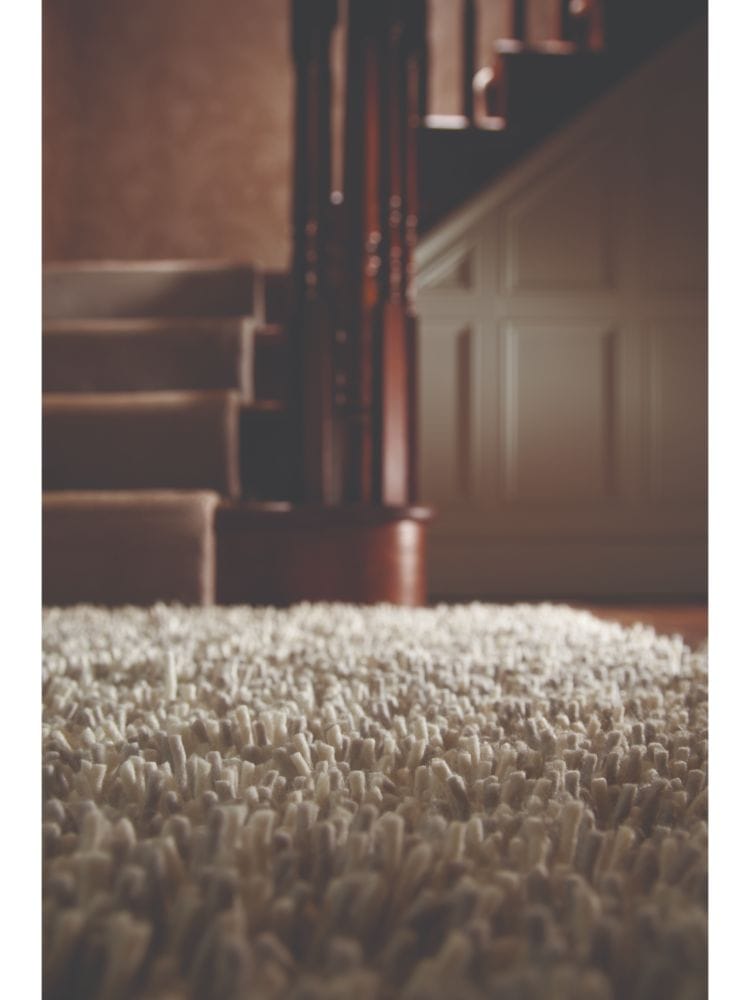 Close-up of a plush, textured light mix rug in a home interior setting.